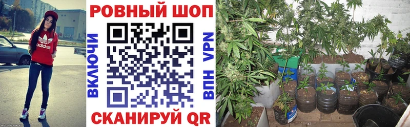 Купить А ПВП  Мефедрон  ГАШИШ  Каннабис  COCAIN  Кириллов