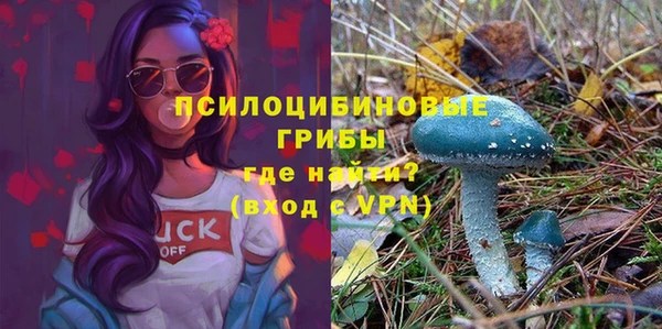 spice Гусев
