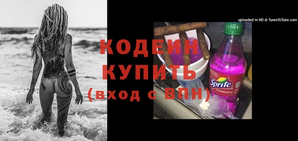 твердый Гусь-Хрустальный