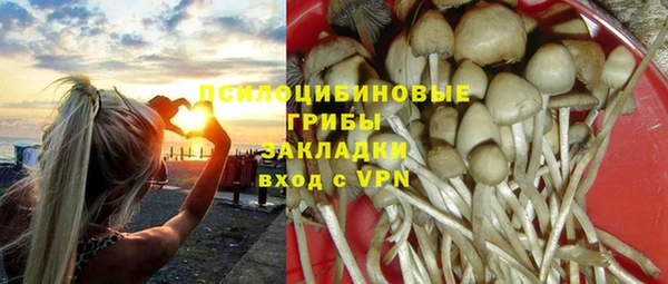 ГАЛЛЮЦИНОГЕННЫЕ ГРИБЫ Горняк