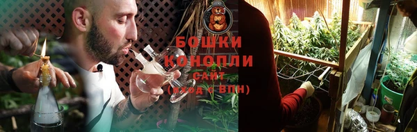 ГАЛЛЮЦИНОГЕННЫЕ ГРИБЫ Горняк