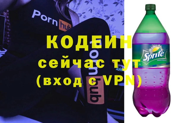ГАЛЛЮЦИНОГЕННЫЕ ГРИБЫ Горняк